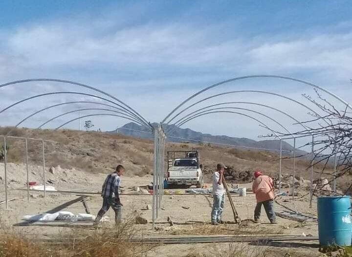 trabajo