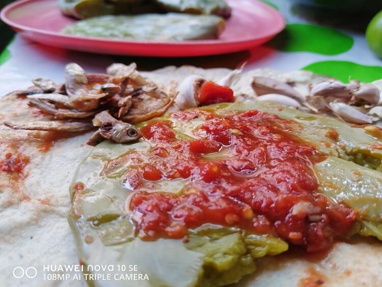 tortilla tortilla