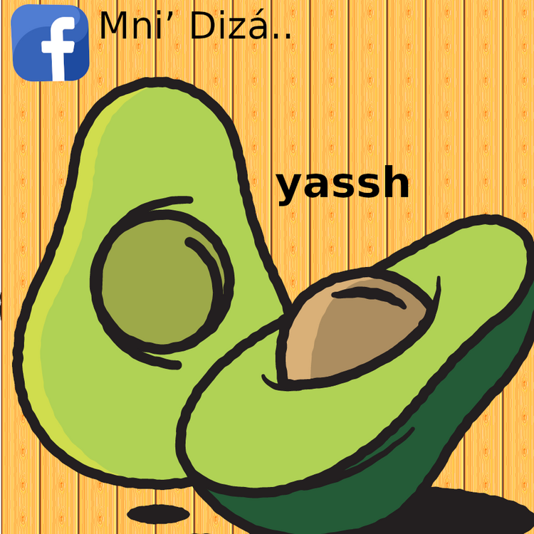 Aguacate Aguacate