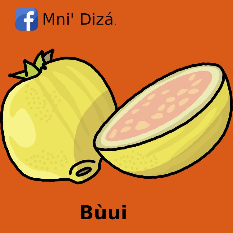 Guayaba Guayaba